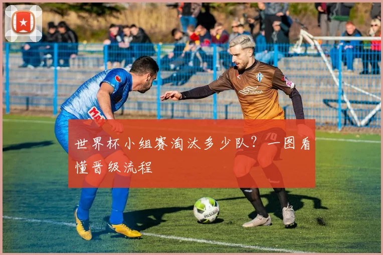 世界杯小组赛淘汰多少队?一图看懂晋级流程