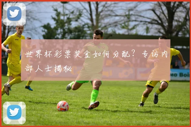 世界杯彩票奖金如何分配?专访内部人士揭秘