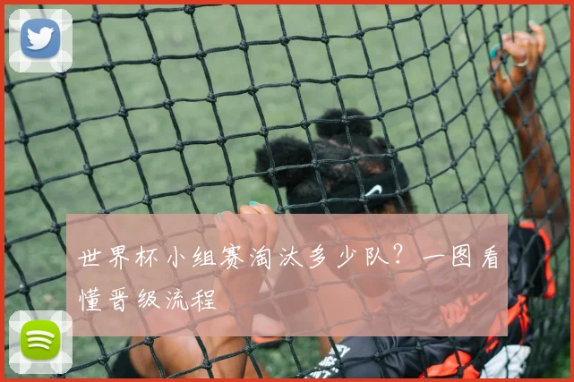 世界杯小组赛淘汰多少队?一图看懂晋级流程