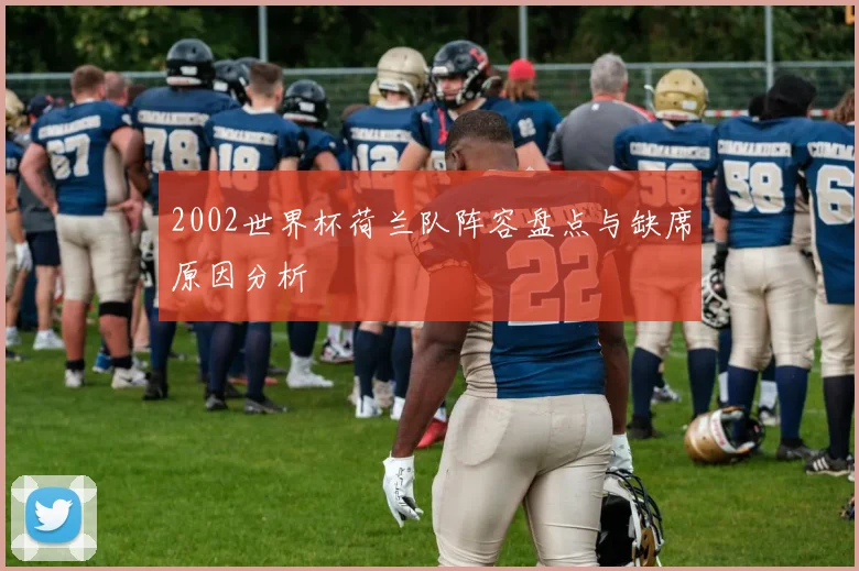 2002世界杯荷兰队阵容盘点与缺席原因分析