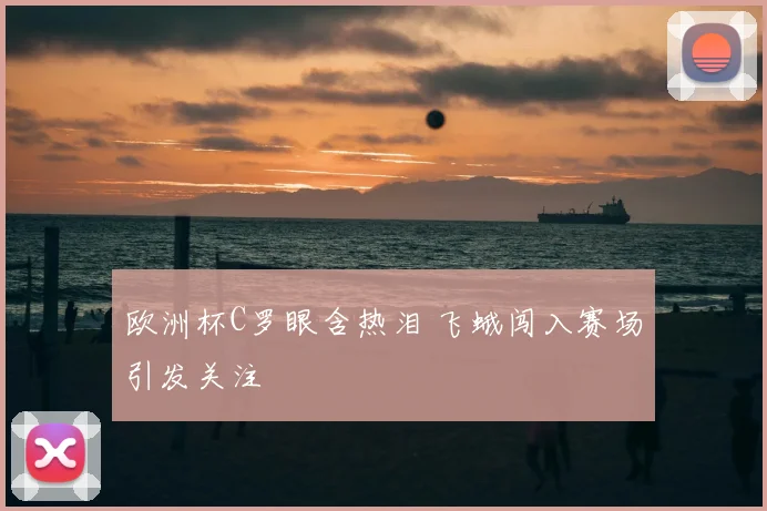 欧洲杯C罗眼含热泪 飞蛾闯入赛场引发关注