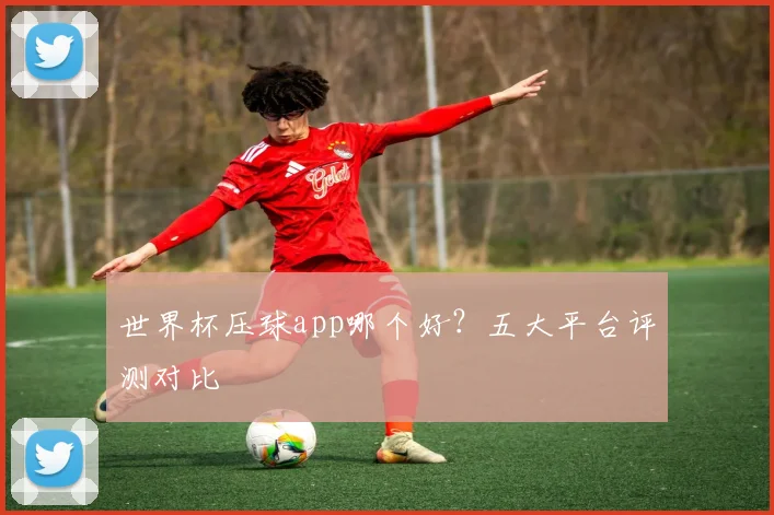世界杯压球app哪个好？五大平台评测对比