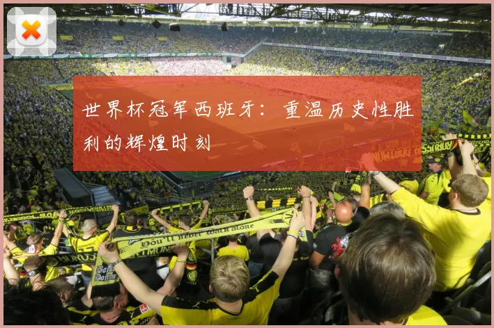 世界杯冠军西班牙：重温历史性胜利的辉煌时刻