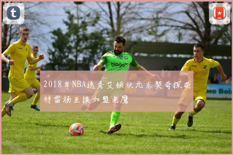 2018年NBA选秀艾顿状元东契奇探花特雷杨互换加盟老鹰
