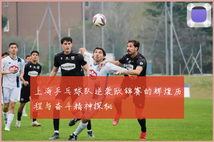 上海乒乓球队逆袭欧锦赛的辉煌历程与奋斗精神探秘