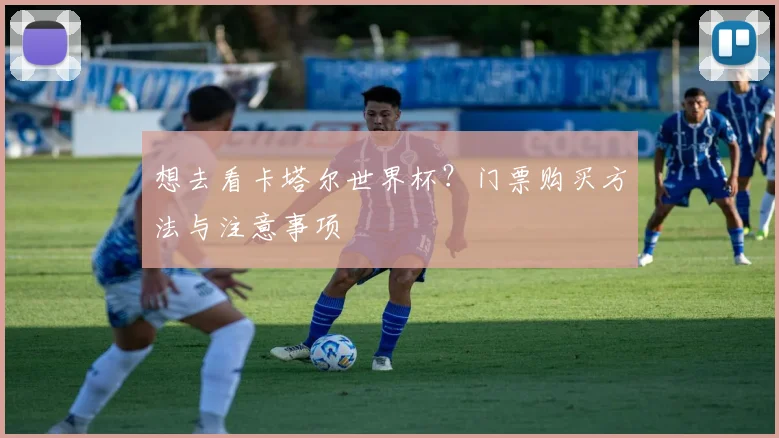 想去看卡塔尔世界杯?门票购买方法与注意事项