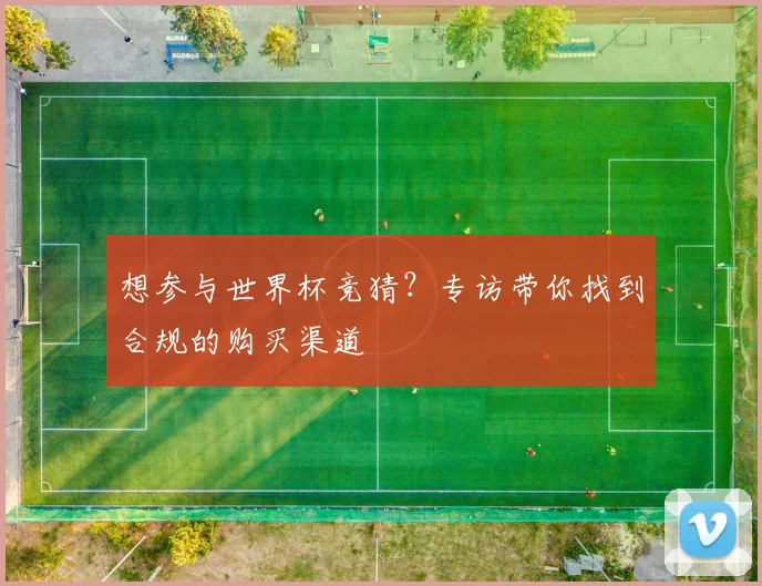 想参与世界杯竞猜?专访带你找到合规的购买渠道