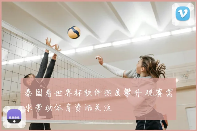 泰国看世界杯软件热度攀升 观赛需求带动体育资讯关注