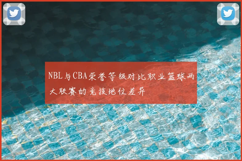 NBL与CBA荣誉等级对比职业篮球两大联赛的竞技地位差异