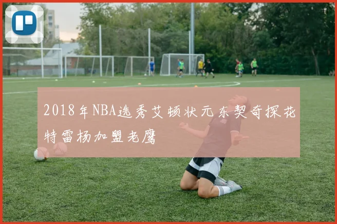 2018年NBA选秀艾顿状元东契奇探花特雷杨加盟老鹰
