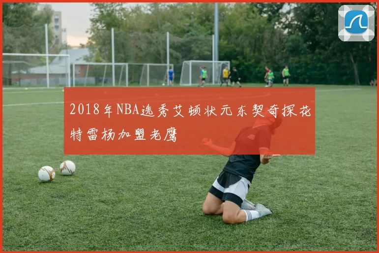 2018年NBA选秀艾顿状元东契奇探花特雷杨加盟老鹰