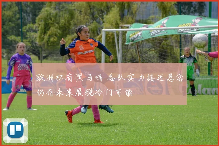 欧洲杯有黑马吗 各队实力接近悬念仍存未来展现冷门可能