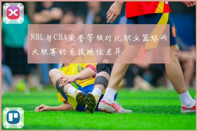 NBL与CBA荣誉等级对比职业篮球两大联赛的竞技地位差异