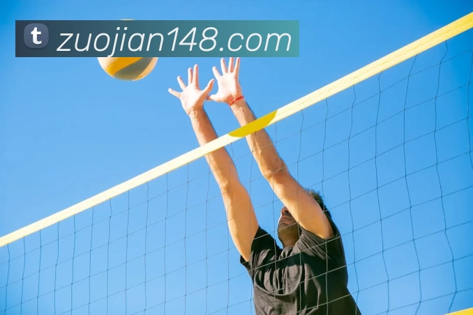 App Interface Preview